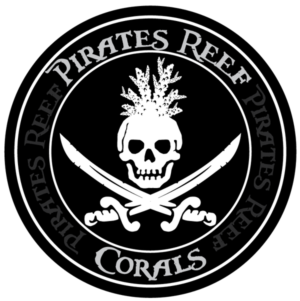 Pirates Reef Corals 